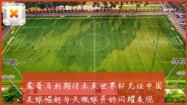 蒙哥马利期待未来世界杯见证中国足球崛起与天赋球员的闪耀表现